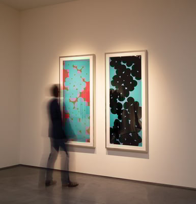 Suktan Prints at VC