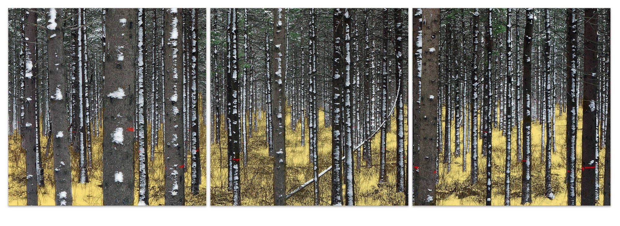 Winter Klimt Triptych - 23 x 72