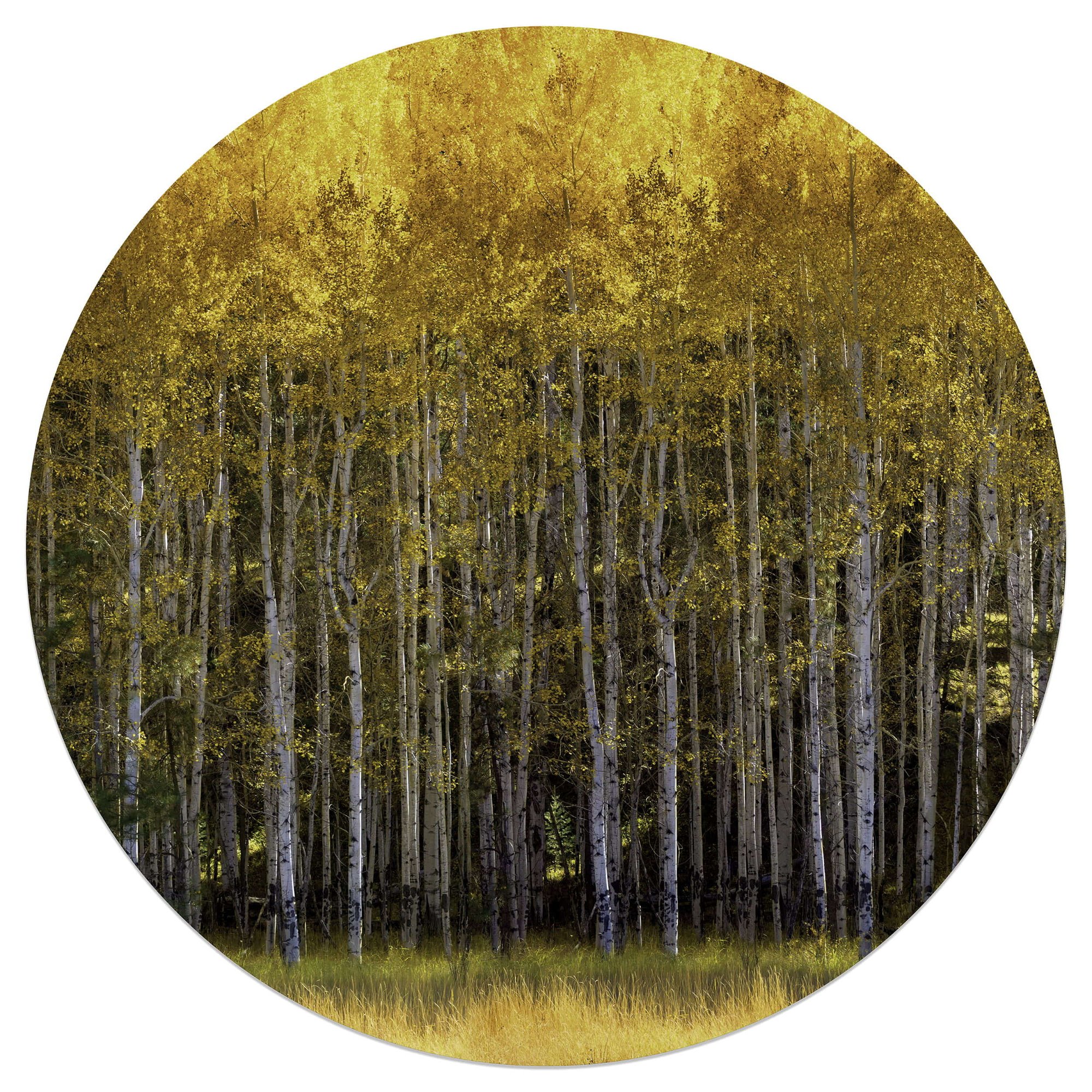 Aspen Vista Ronde- 40 x 40