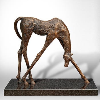 Horse 350x350 image