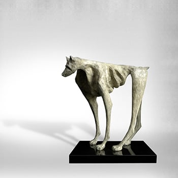 Dog 350x350 image