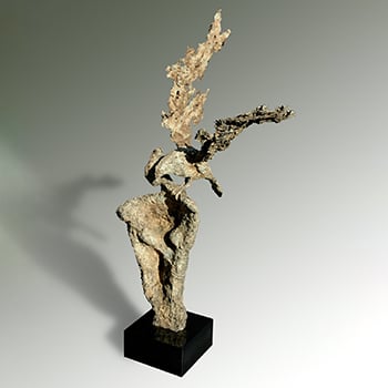 Raven (Take Me Dancing) 350x350 image