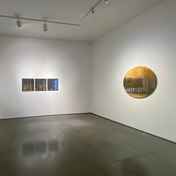 DelamourFLIP 350x3507