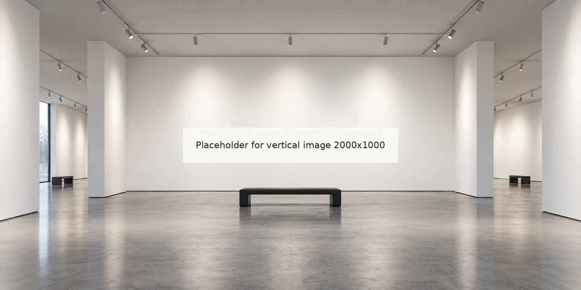 placeholder_gallery_2000x1000