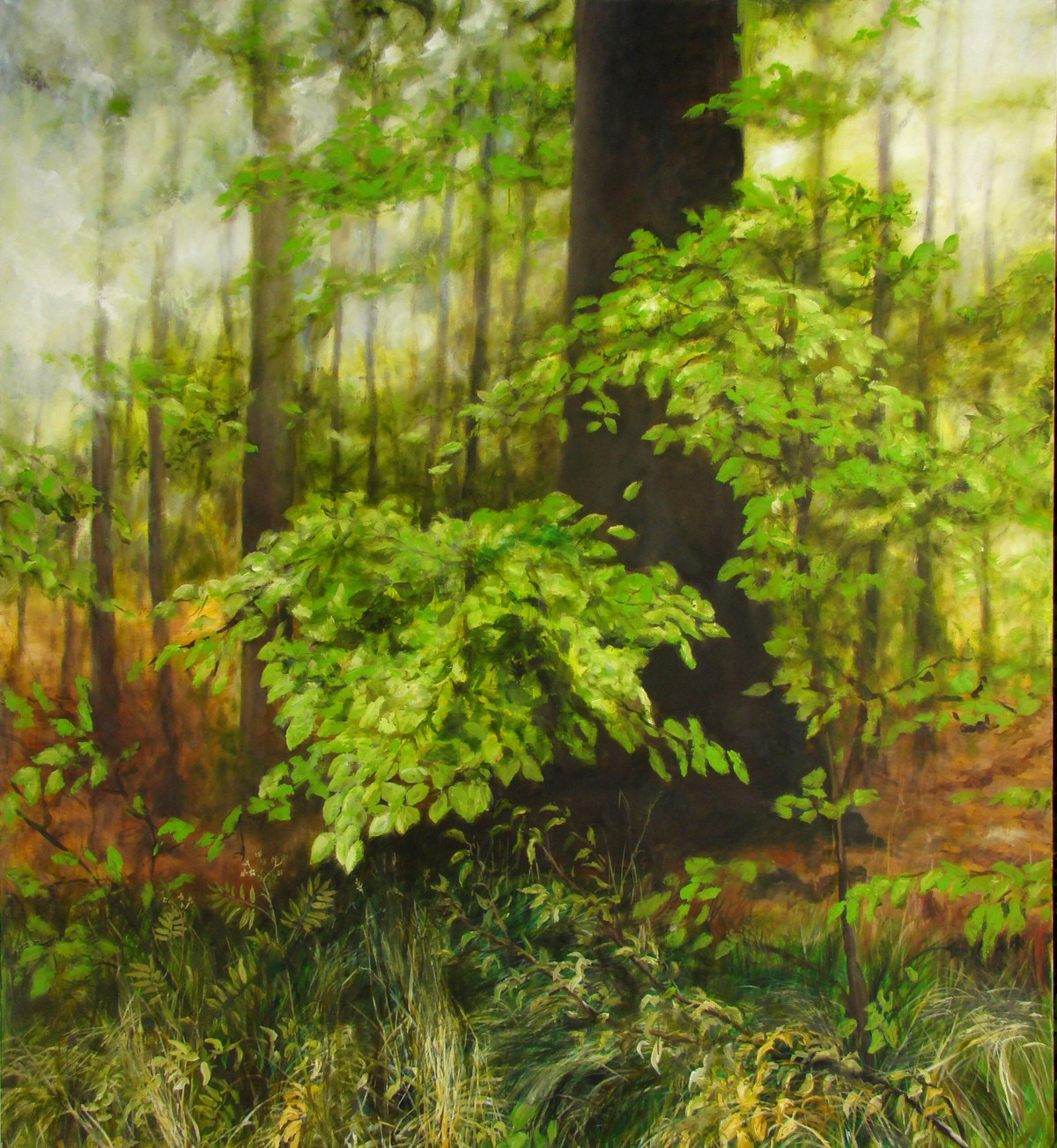 Jessen - May Forest II