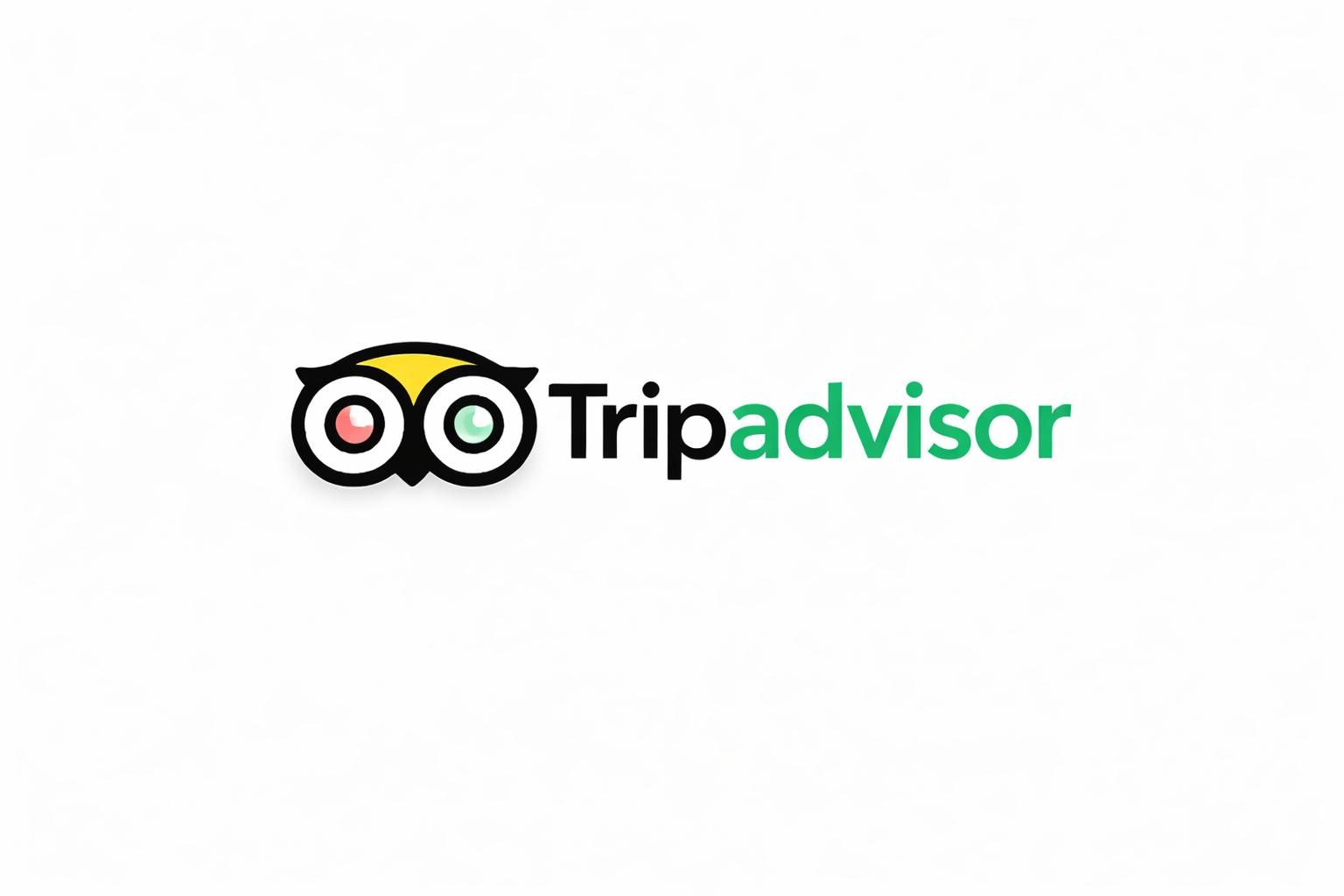 TripAdvisor logo on white background
